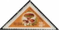 (1959-009) Марка Польша "Маслёнок"   Грибы III Θ